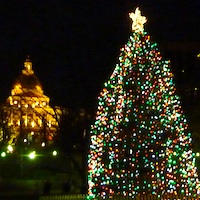 Christmas Tree in Boston Common - Massachusetts State House in Background