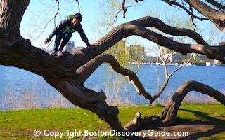 Kids activities on Boston Esplanade