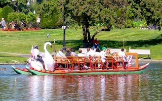 Swan Boats in Boston