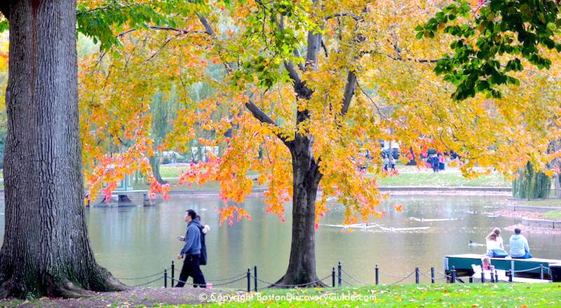 Boston October foliage Boston October foliage