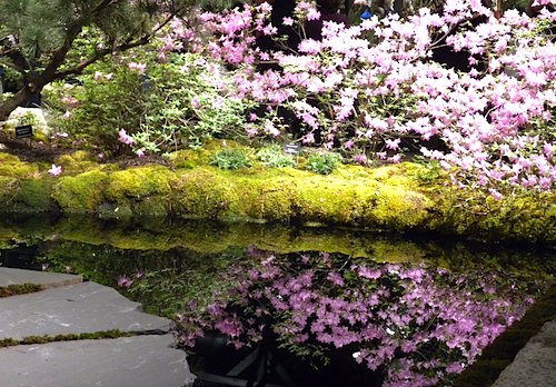 at the Boston Flower Show