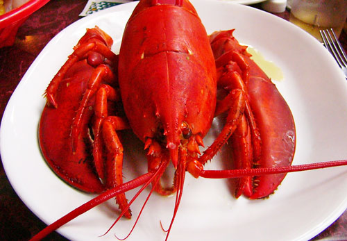 how-to-steam-lobster-1.jpg
