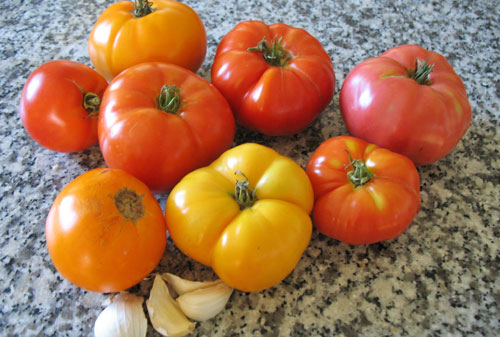 Tomatoes for marinara sauce