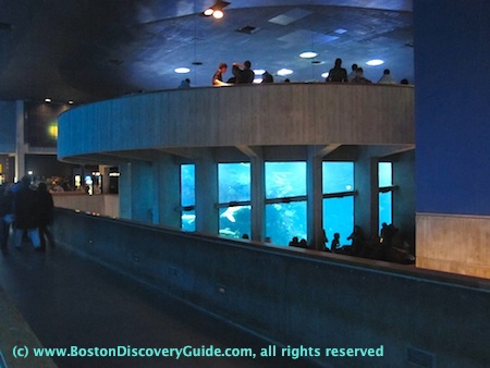 New England Aquarium Discount Options Top Boston Attraction New England Aquarium Discount Options Top Boston Attraction