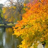 duck boat tours boston discount code boston tours sightseeing in boston duck boat tours boston discount code boston tours sightseeing in boston