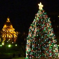 Christmas Tree in Boston Common - Massachusetts State House in Background