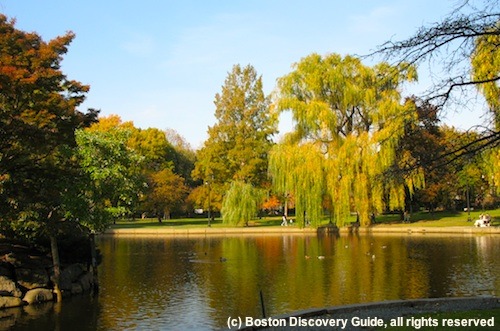 Enjoying fall foliage is one of the best things to do in Boston in October Enjoying fall foliage is one of the best things to do in Boston in October