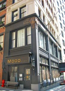 Moo Boston