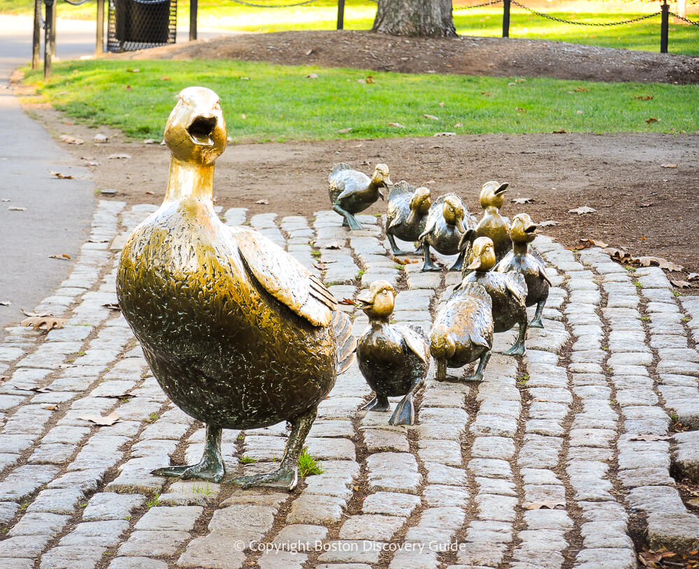 Make Way for Ducklings statues in Boston's Public Garden