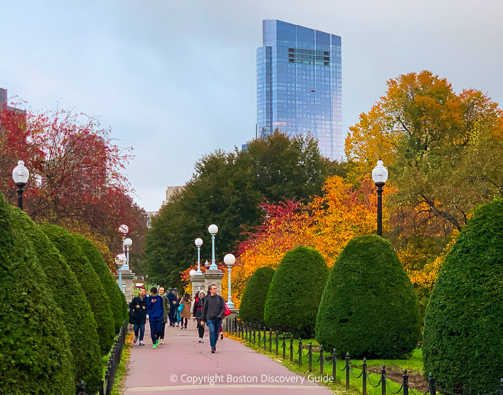 Fall day in Boston's Public Garden