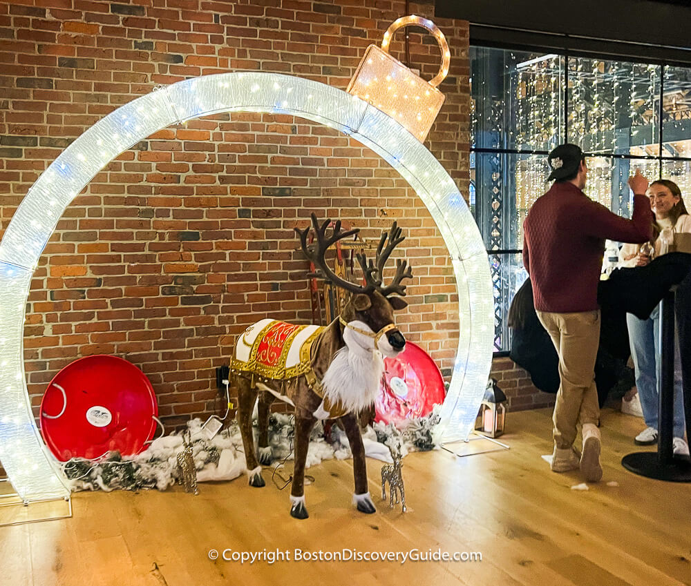 Reindeer at Sowa winter festival and holiday market 