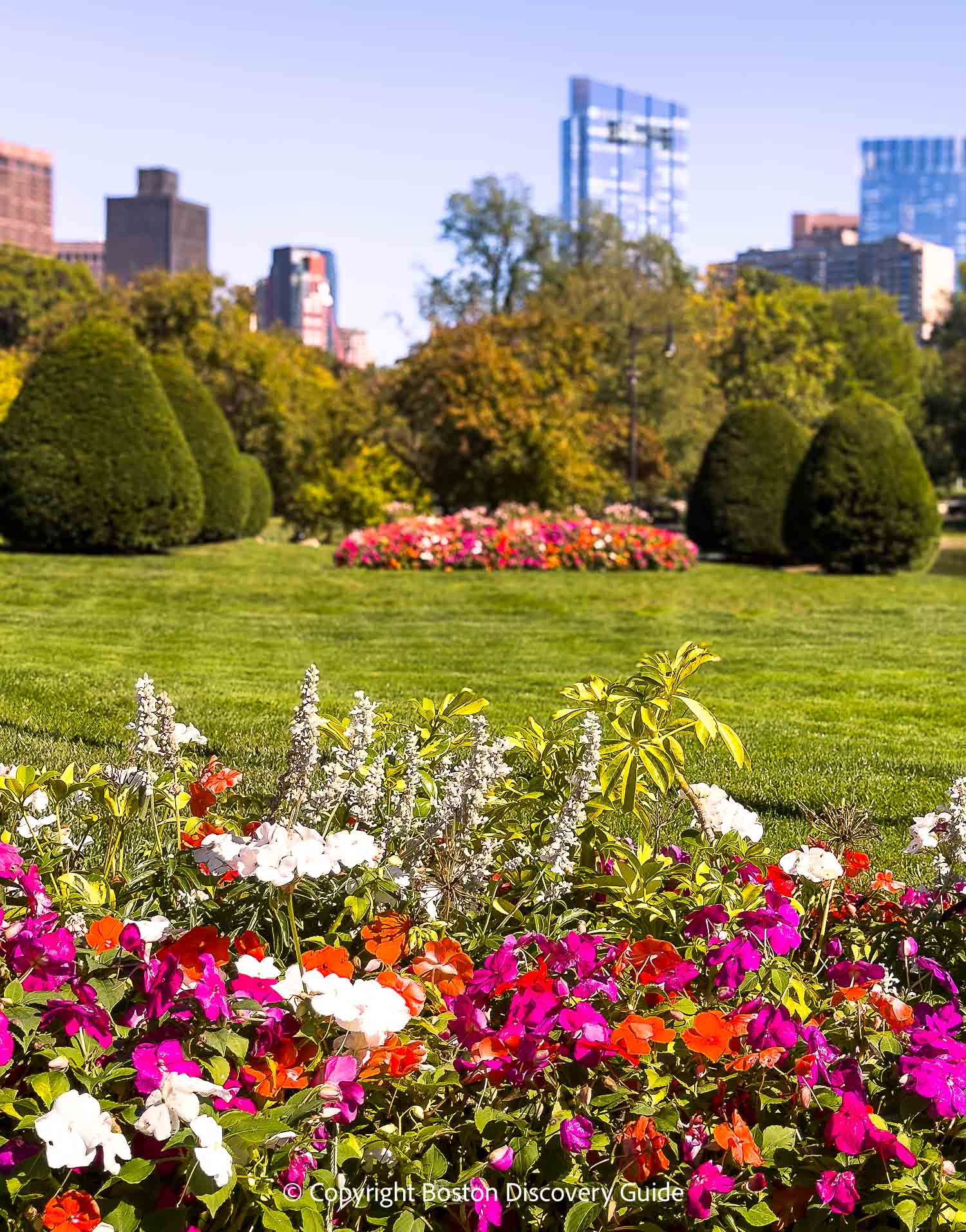 View across Boston Common from the Ritz-Carlton