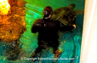 February vacation week in Boston - New England Aquarium February vacation week in Boston - New England Aquarium