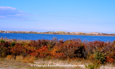 Autumn from Old Cape Cod tour from Boston Autumn from Old Cape Cod tour from Boston