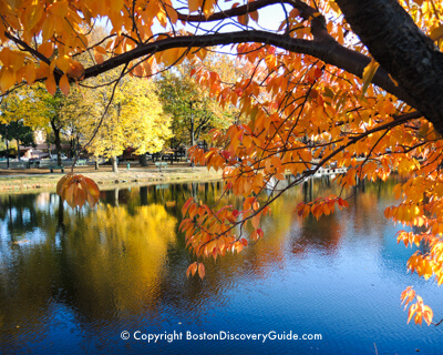 Best Spots for Fall Foliage in Boston