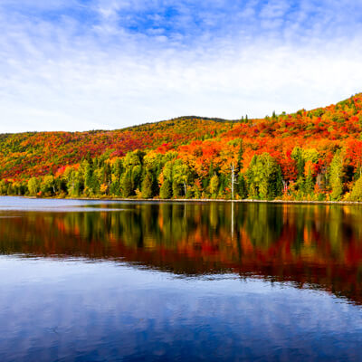 Fall foliage cruises leaving from Boston