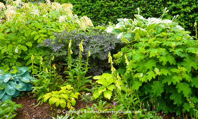 Garden Tours Garden Tours
