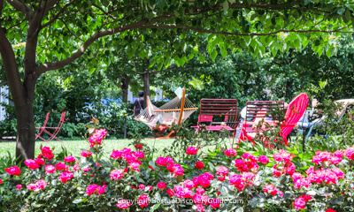 Flowers blooming along Rose Kennedy Greenway in Boston