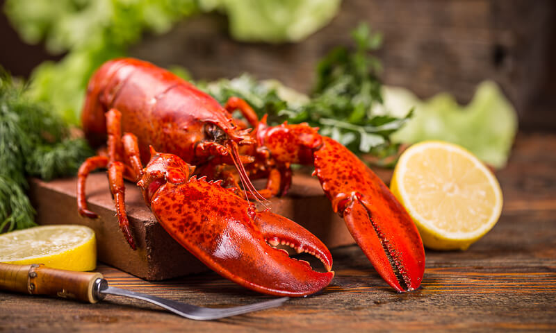 Boston restaurants - How to eat a lobster