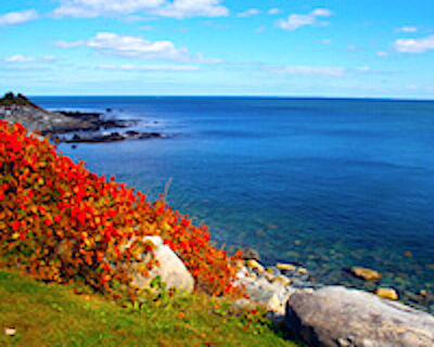 New England Fall Foliage Cruises