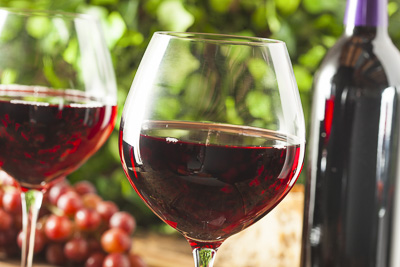 Boston Wine Festival