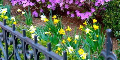 boston event calendar april