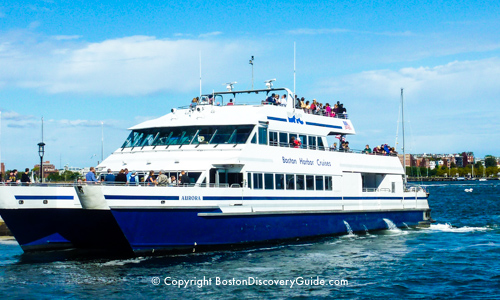 Whale Watching Cruises 