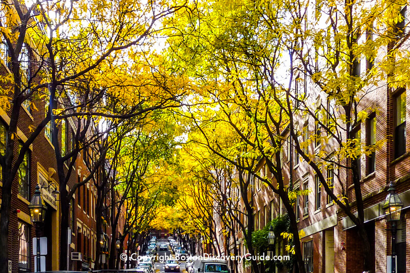Golden leaves in Boston's historic Bay Village neighborhood