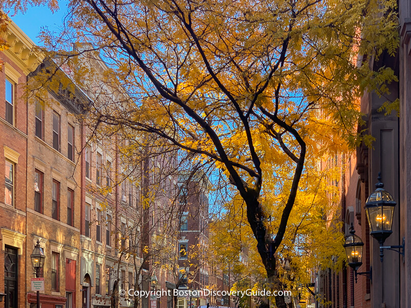 Fall colors in Boston's Beacon Hill neighborhood Fall colors in Boston's Beacon Hill neighborhood