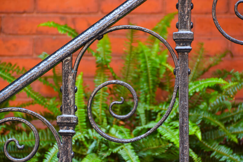 Ferns behind an iron fence in Beacon Hill Ferns behind an iron fence in Beacon Hill