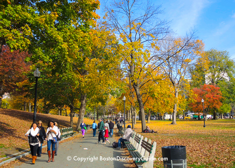 Colorful foliage on Boston Common in late October Colorful foliage on Boston Common in late October