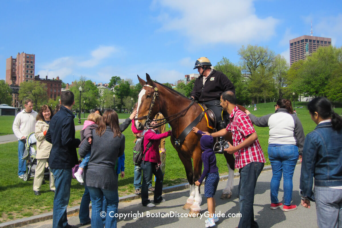 This Park Ranger and his horse in Boston Common draw an admiring crowd This Park Ranger and his horse in Boston Common draw an admiring crowd