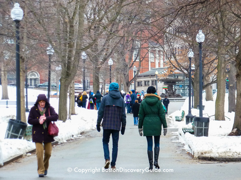 Boston Weather in February What to Expect Boston Discovery Guide