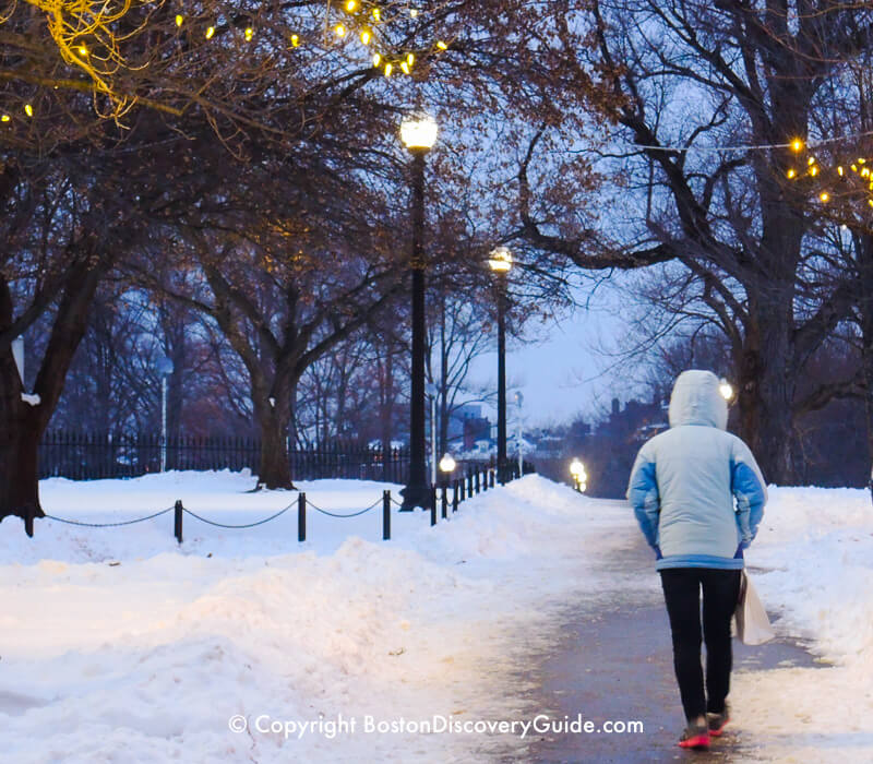 Boston Common in late afternoon in February