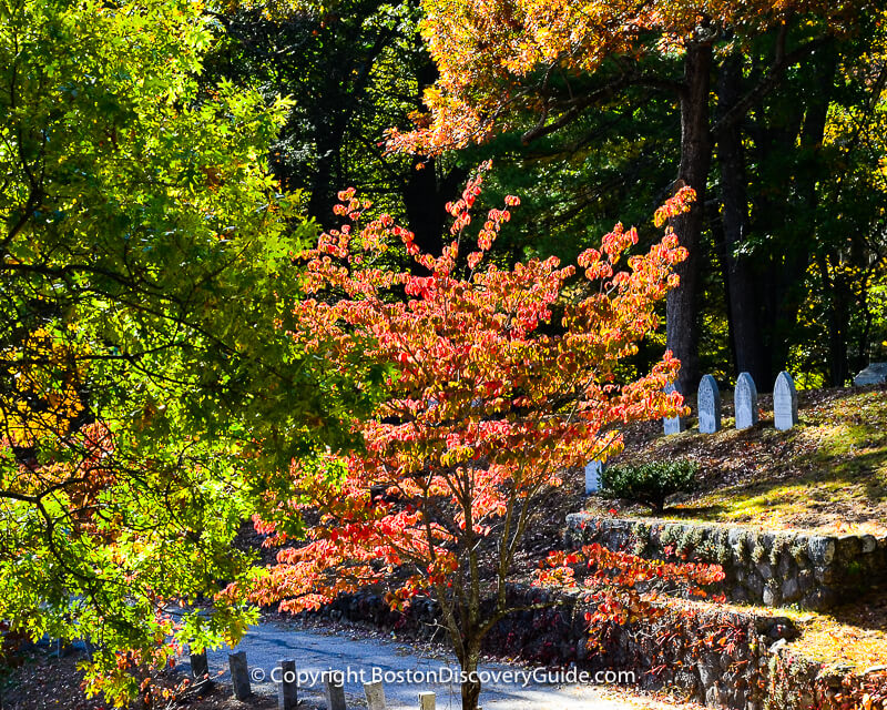Sleepy Hollow Cemetery on a fall afternoon
