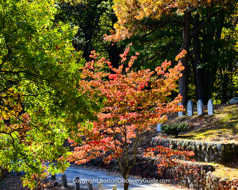Sleepy Hollow Cemetery on a fall afternoon Sleepy Hollow Cemetery on a fall afternoon