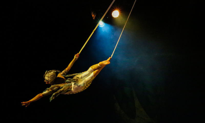 Cirque du Soleil performer
Photo courtesy of Performing Arts Photo and Video