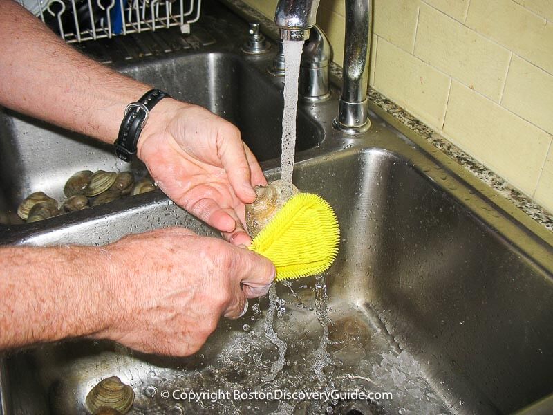 Scrub each clam well with a stiff brush under running water