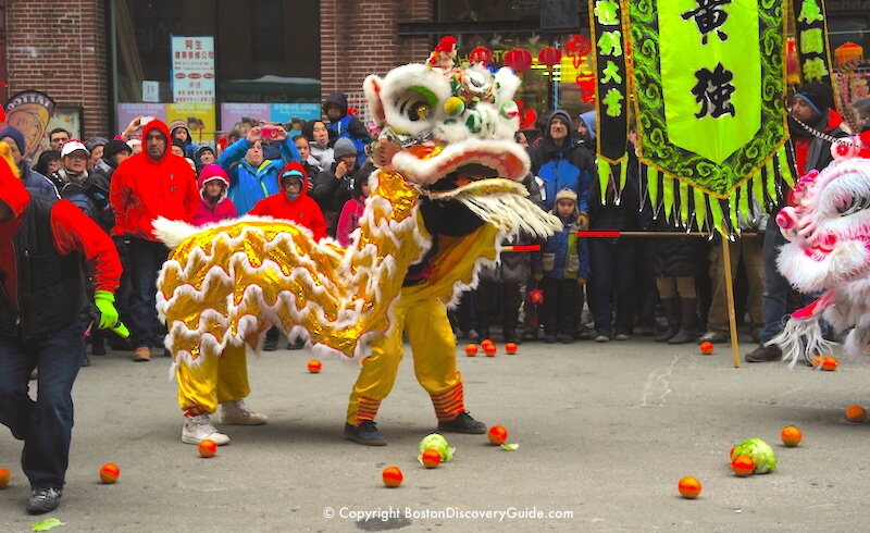 Parata del Capodanno cinese a Boston - Danza dei leoni