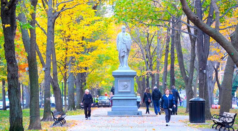 Golden fall foliage forms a canopy along Commonwealth Avenue Mall in Boston's Back Bay