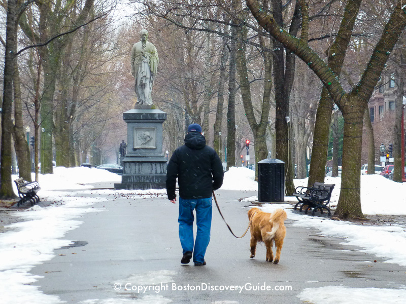 Commonwealth Avenue in Back Bay, near the Public Garden, in February