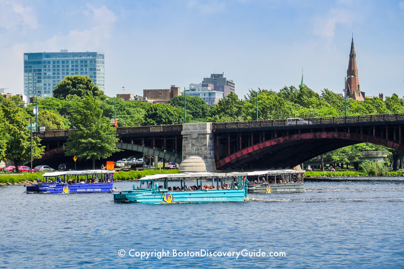 Duck boats cruising the Charles River