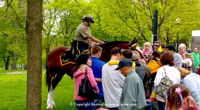 Duckling Day Parade - Park Ranger on horsback and admiring fans Duckling Day Parade - Park Ranger on horsback and admiring fans