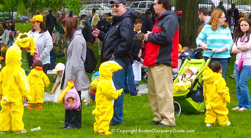 "Ducklings" lining up for the Duckling Day Parade in the Public Garden "Ducklings" lining up for the Duckling Day Parade in the Public Garden