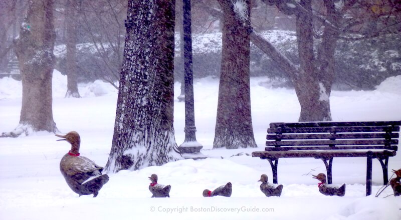 Make Way for Ducklings statues in Boston's Public Garden during a January snowstorm Make Way for Ducklings statues in Boston's Public Garden during a January snowstorm