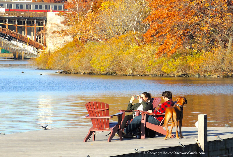 fall foliage cruises out of boston