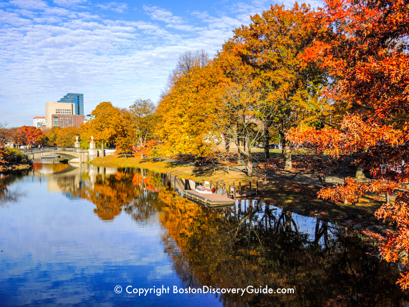 Fall color along Boston's Esplanade and the Charles River