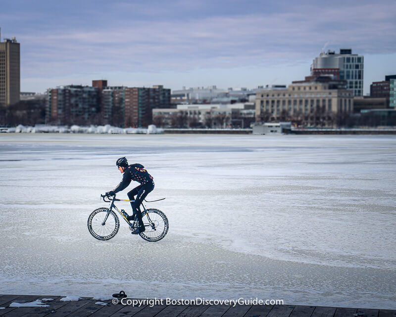 Bicycle rider on the partially-frozen Charles River - NOT a good idea!