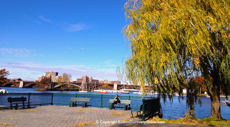 November fall foliage along Boston's Esplanade overlooking the Charles River November fall foliage along Boston's Esplanade overlooking the Charles River