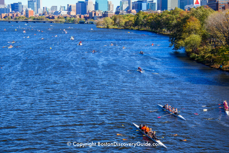 Rowers in Head of Charles Regatta, with Esplanade and Downtown Boston in the background